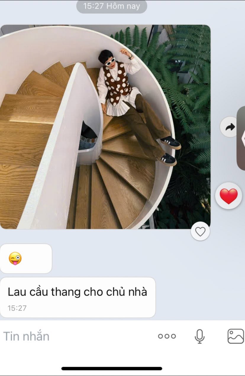 Rừng Thông 11/13
