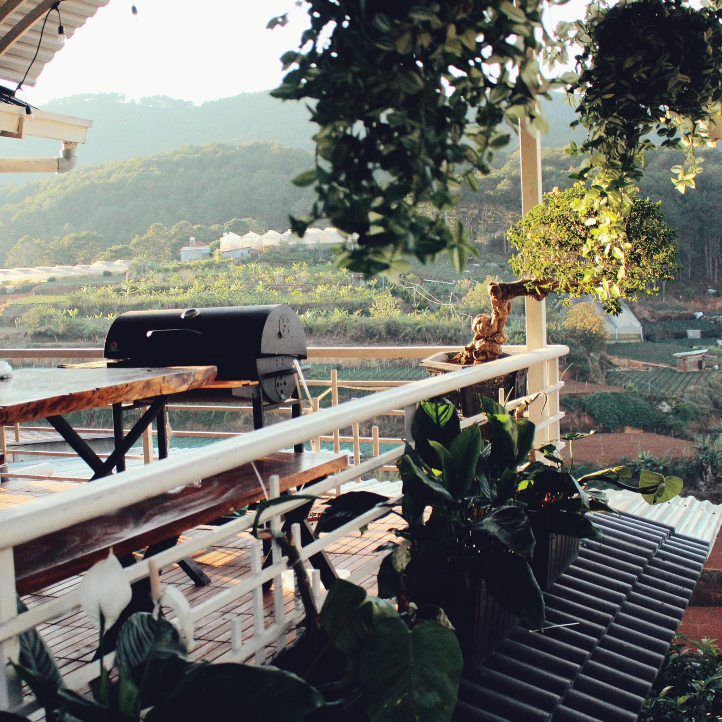 Bên Mây Homestay — Đà Lạt 17/19