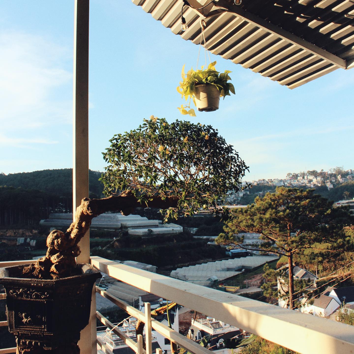 Bên Mây Homestay — Đà Lạt 18/19