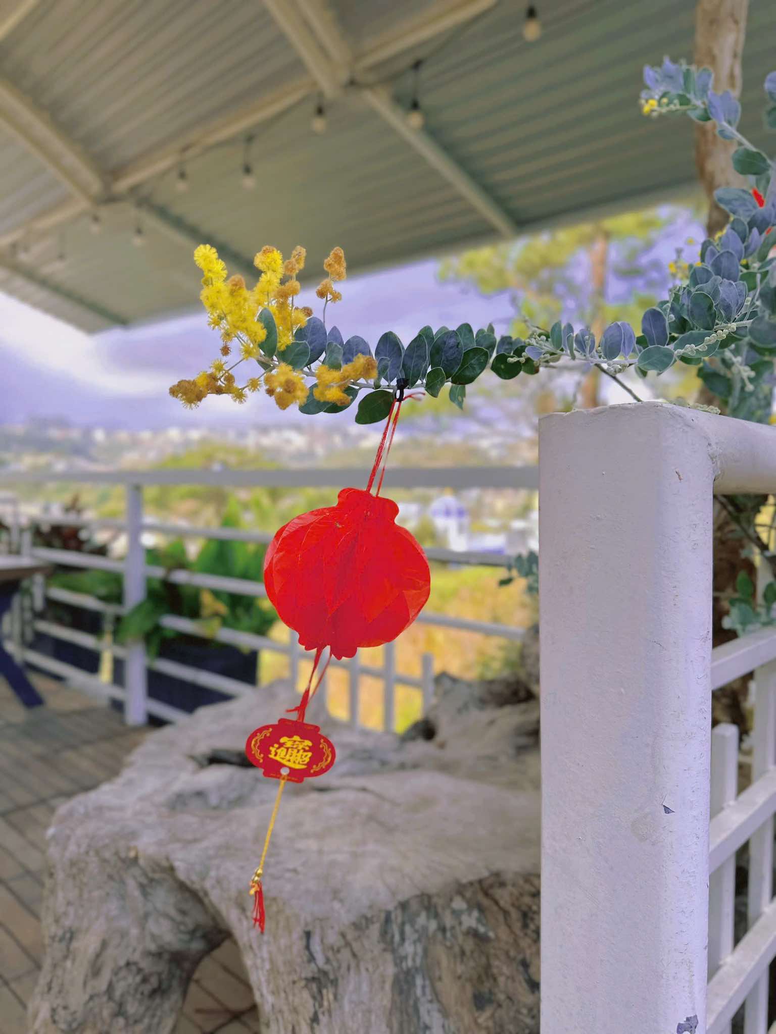 Bên Mây Homestay — Đà Lạt 6/19