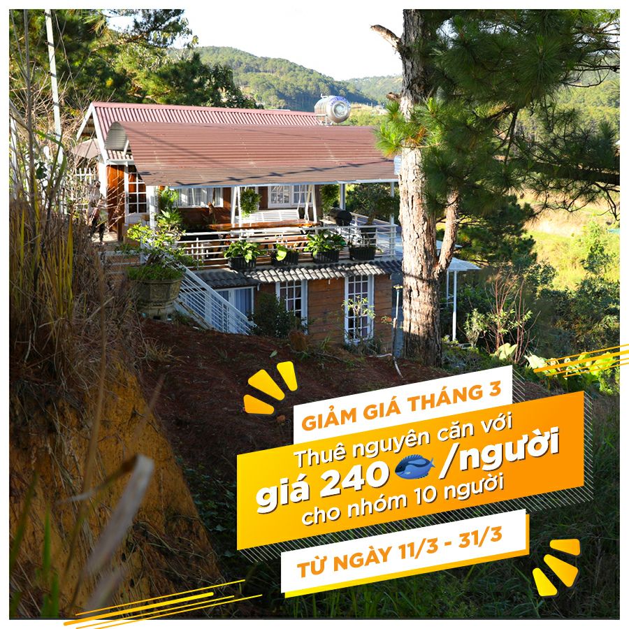 Bên Mây Homestay — Homestay