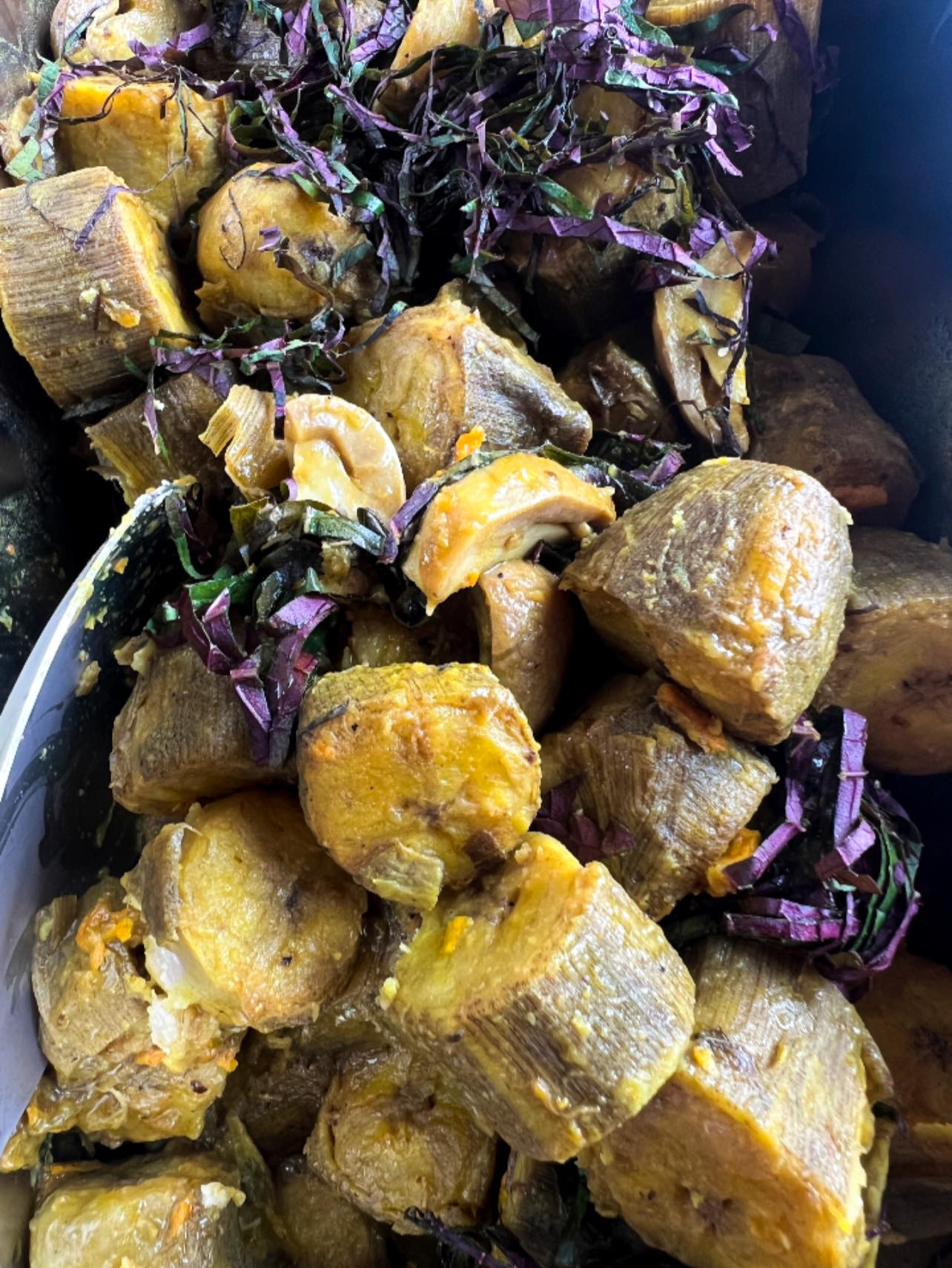 Buffet Chay Nhà Tấm Đà Lạt — Đà Lạt 8/23