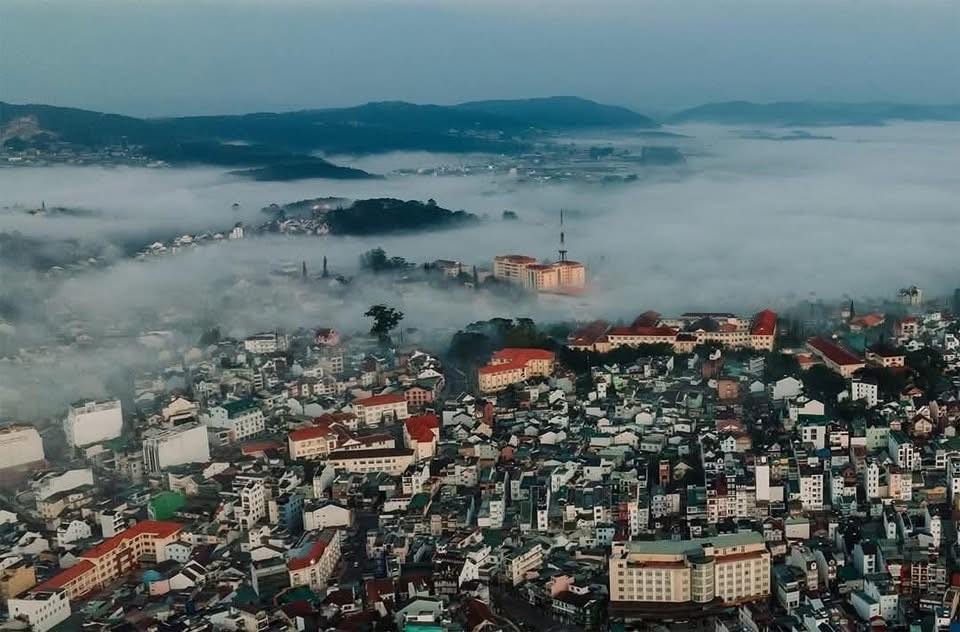 Trips One Đà Lạt — Đà Lạt 11/18
