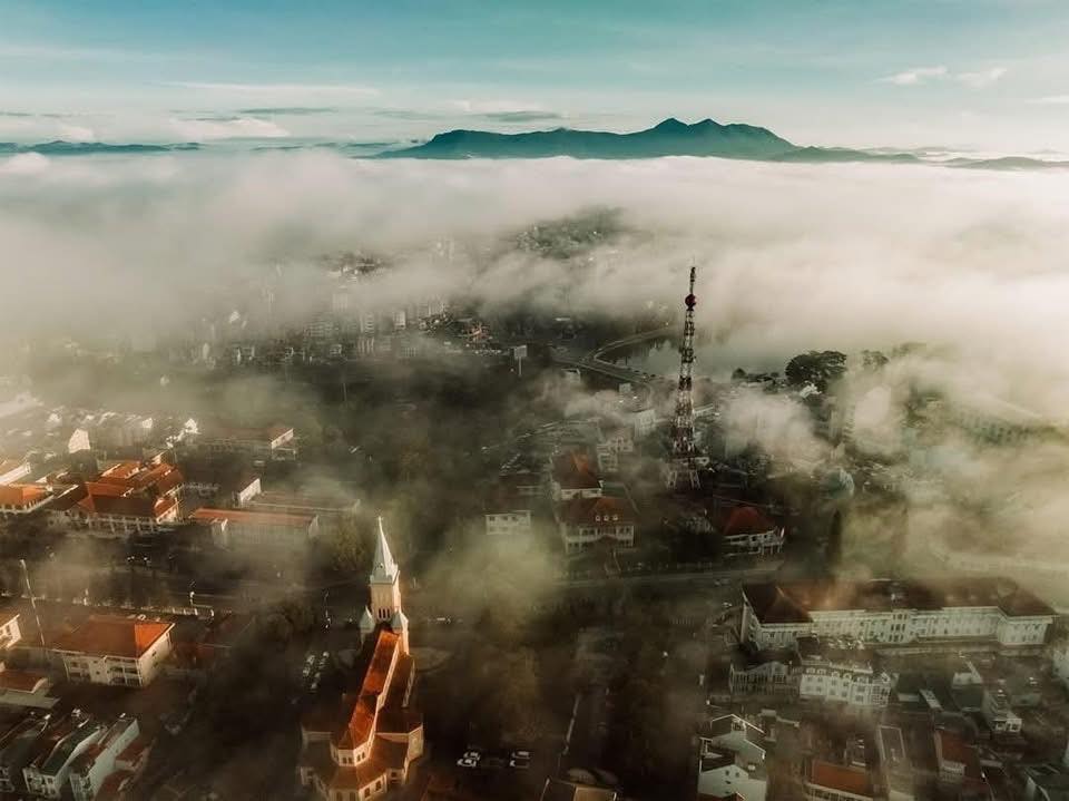 Trips One Đà Lạt — Đà Lạt 10/18