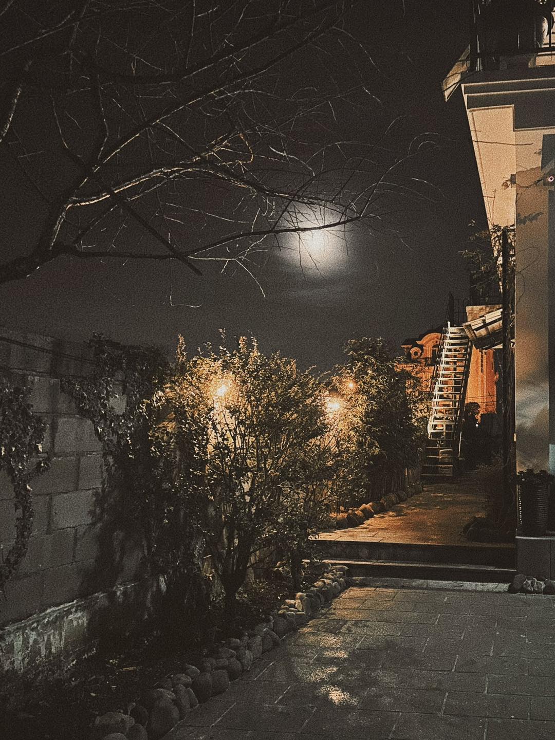 M.A.P HOME — Đà Lạt 13/24