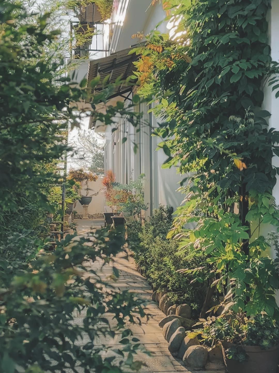 M.A.P HOME — Đà Lạt 16/24