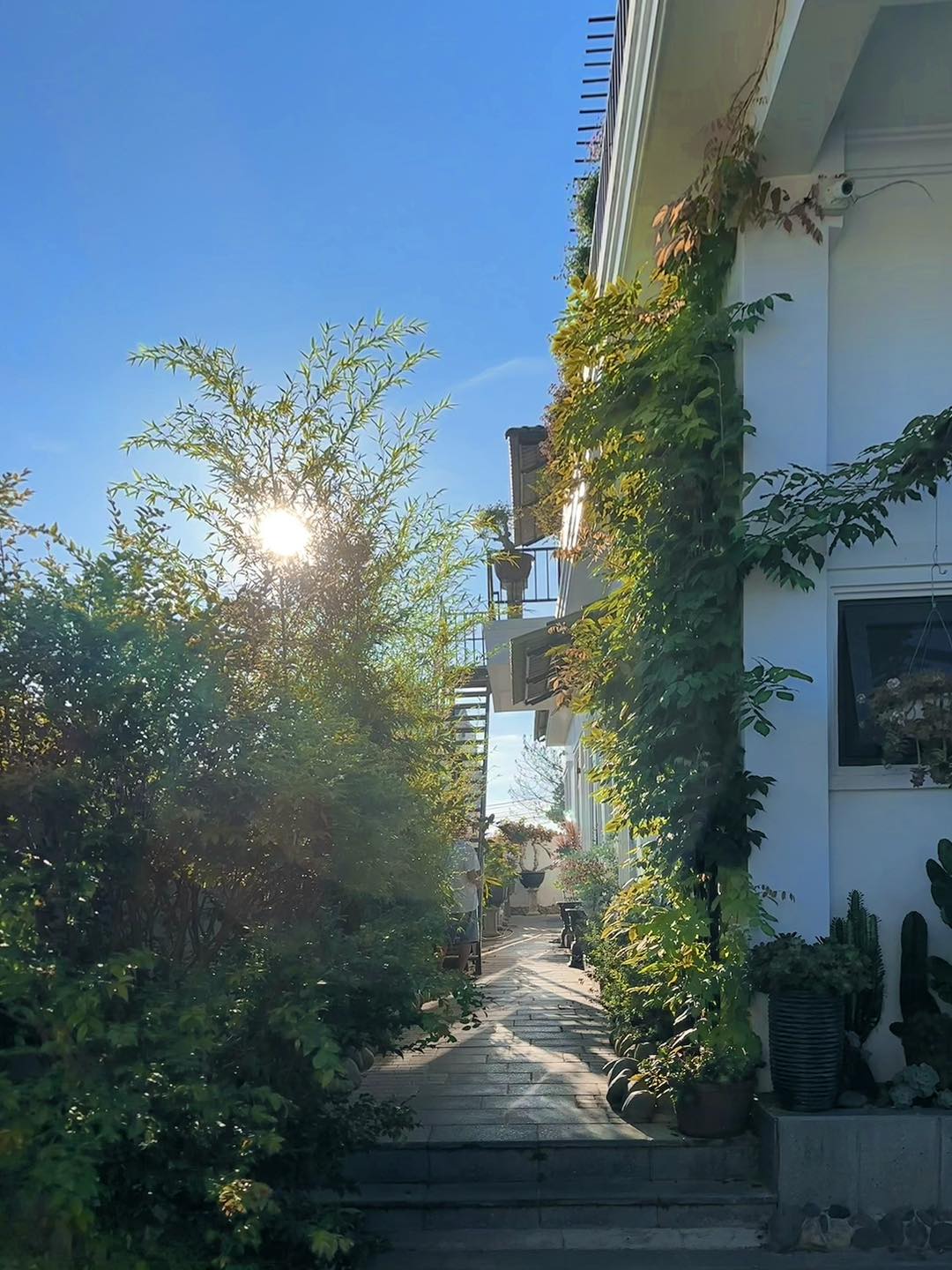 M.A.P HOME — Đà Lạt 17/24