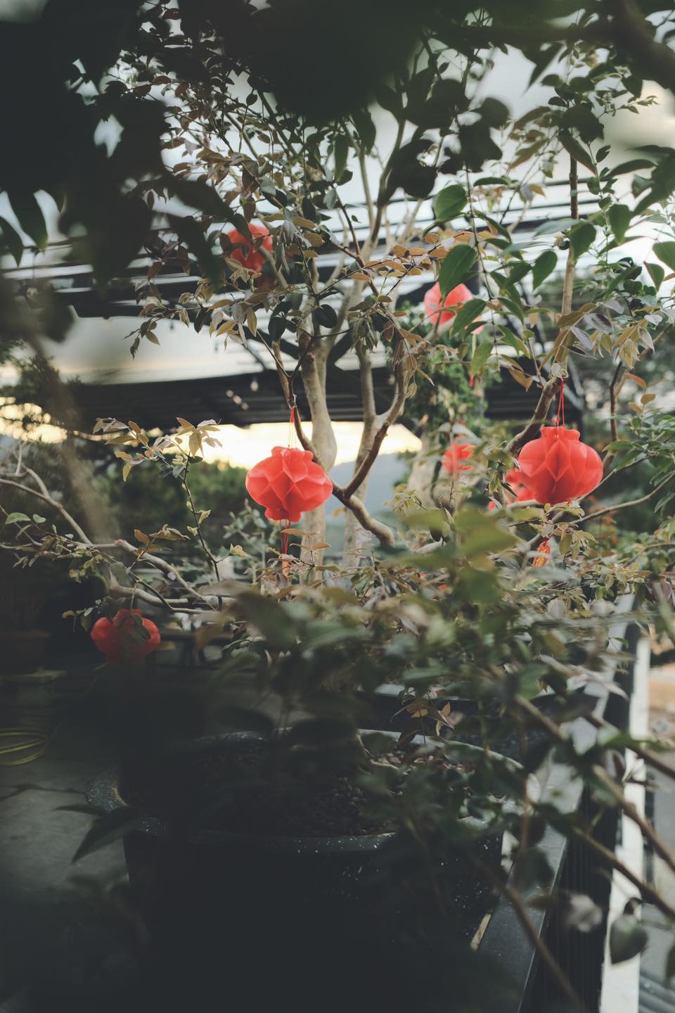 M.A.P HOME — Đà Lạt 19/24