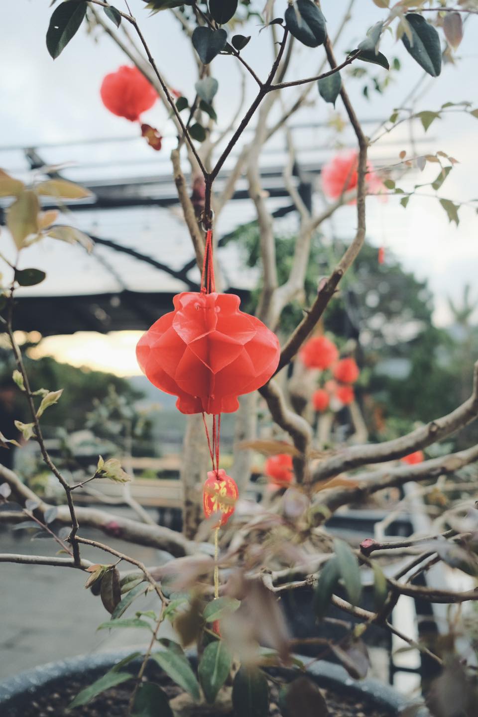 M.A.P HOME — Đà Lạt 18/24