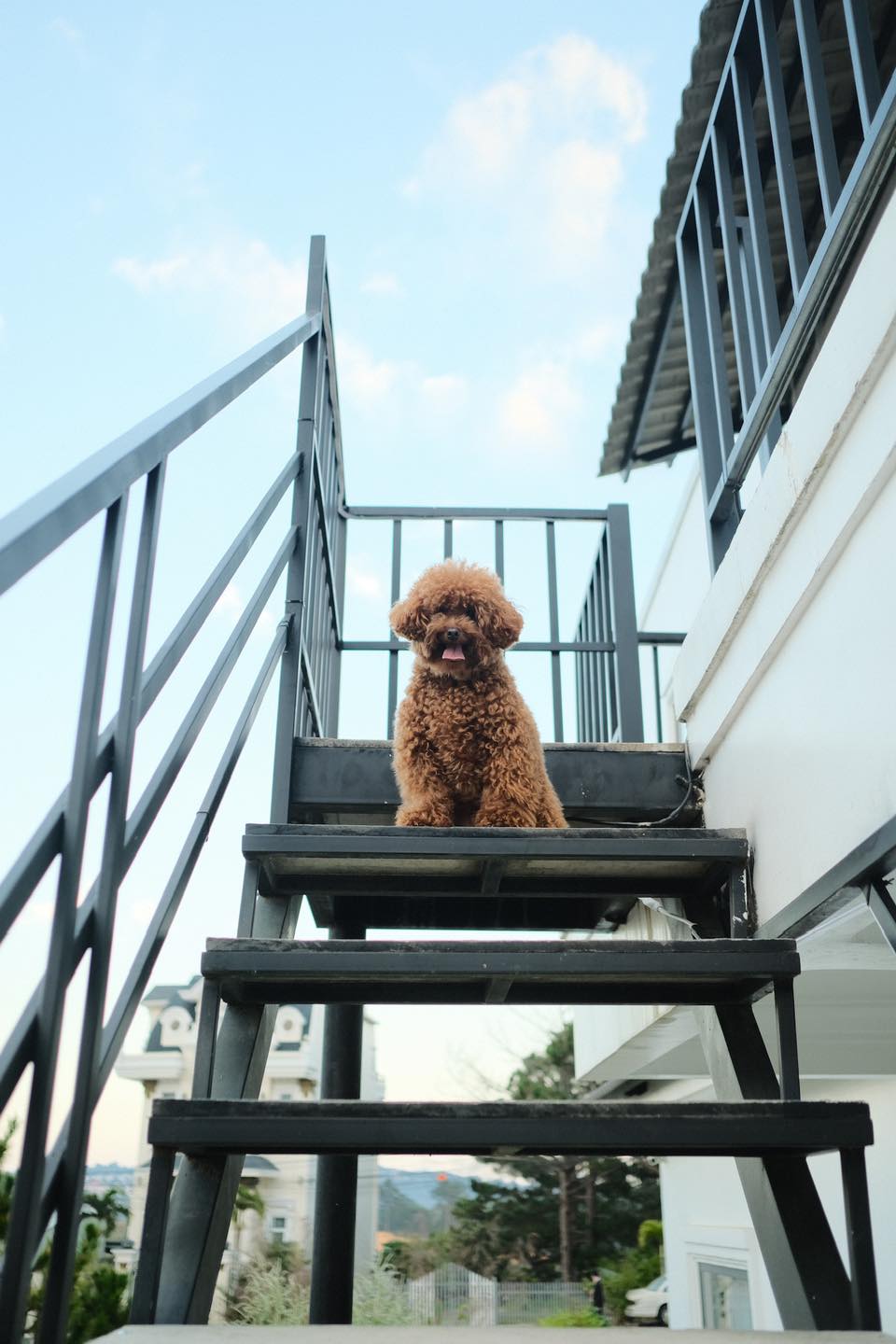 M.A.P HOME — Đà Lạt 23/24
