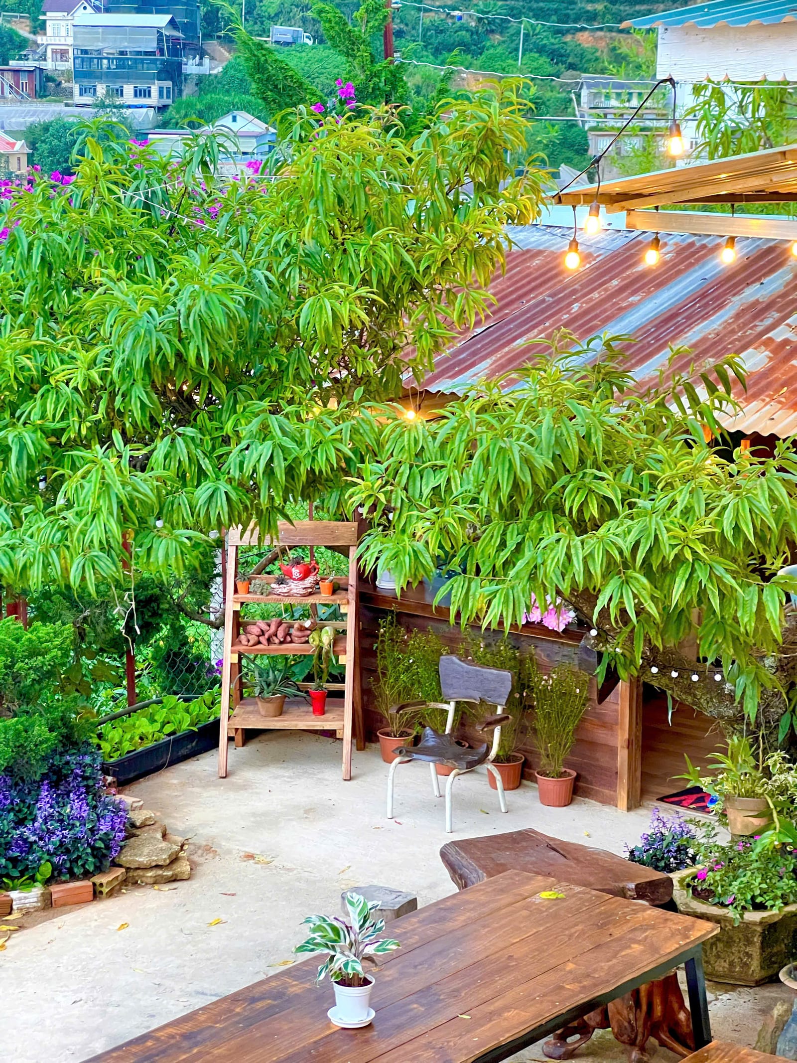 NHÀ CỦA NỘI 2