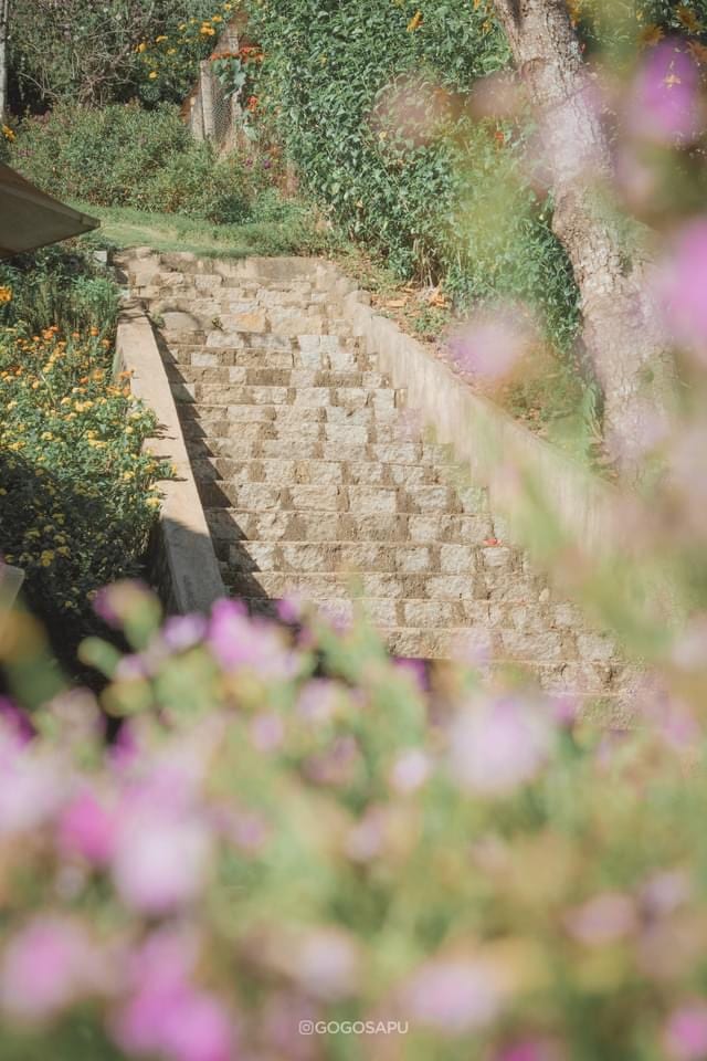 Biệt thự trắng (Hàn Thuyên) 14/16